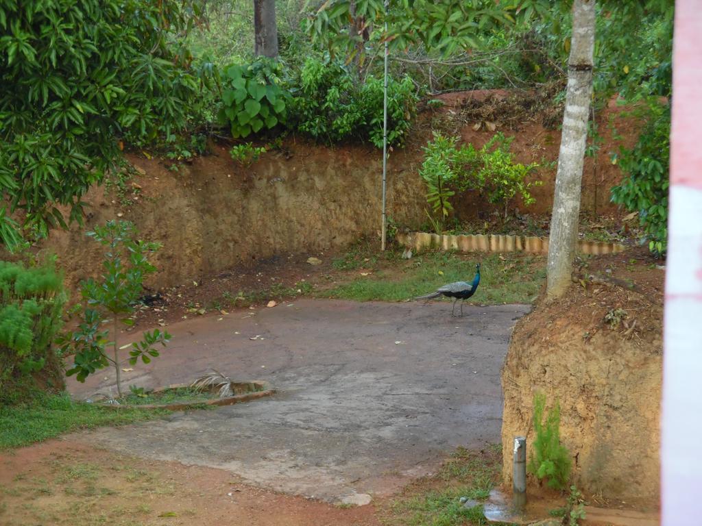 Mount View Villa Resort Mirissa Bagian luar foto