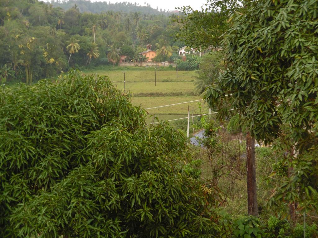 Mount View Villa Resort Mirissa Bagian luar foto